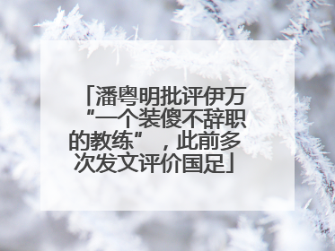 潘粤明批评伊万“一个装傻不辞职的教练”，此前多次发文评价国足